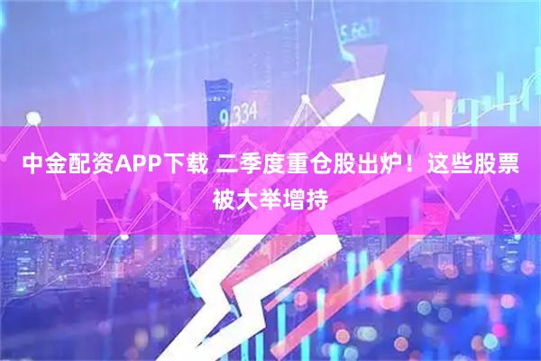 中金配资APP下载 二季度重仓股出炉！这些股票被大举增持