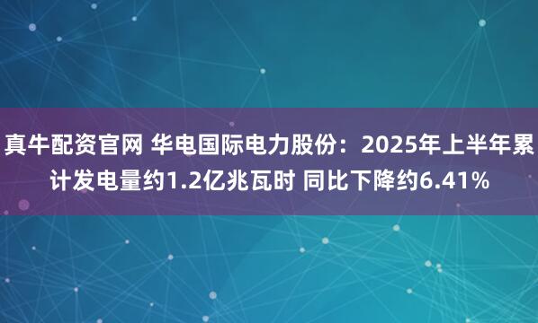 真牛配资官网 华电国际电力股份：2025年上半年累计发电量约1.2亿兆瓦时 同比下降约6.41%