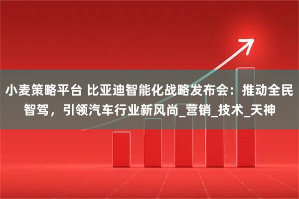 小麦策略平台 比亚迪智能化战略发布会：推动全民智驾，引领汽车行业新风尚_营销_技术_天神